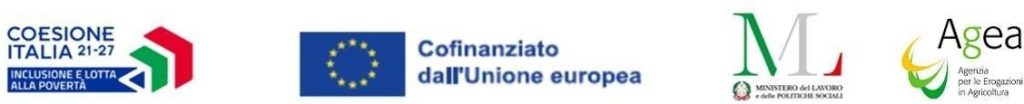 Loghi programma FSE+
